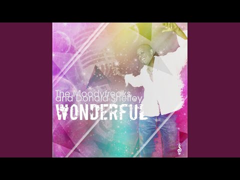 Wonderful (Main Vocal Mix)