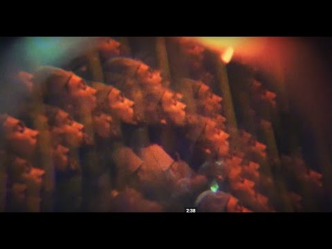 Alex Ebert  -  Broken Record (Visualizer Video)