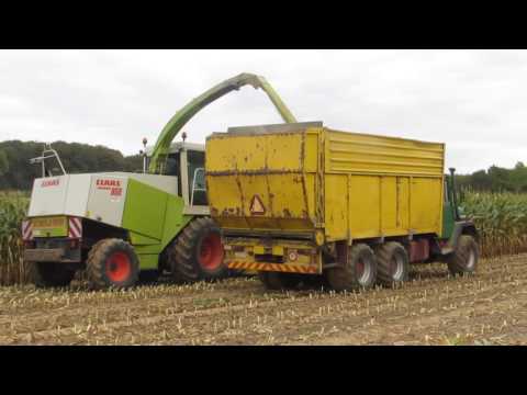 loonwerken De Henau maïs hakselen