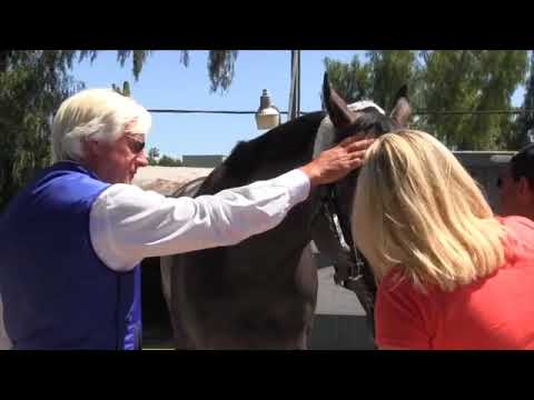 ANTHONY DELPECH,BOB BAFFERT DWC 2018