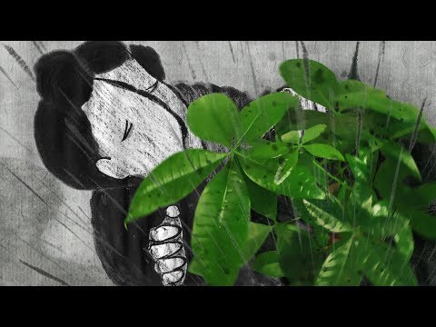 傘 (黄雯睿) / UMBRELLA (Wenrui HUANG)