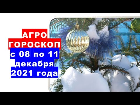 , title : 'Агрогороскоп с 08 по 11 декабря 2021 года'