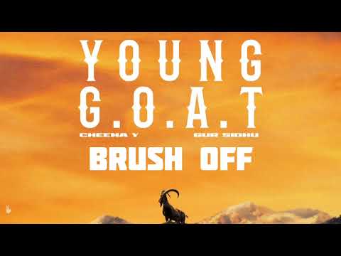 Brush Off