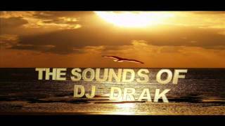 Brain Bashers - Do It Now ( Original Mix ).wmv