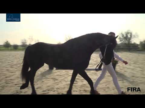 Locatiekeuring Stal Chardon 30-9-2020