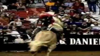 PBR Big Bull Rider