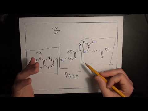 Vitamin B10 and Why Important for Runners