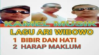 Download lagu LAGU ARI WIBOWO. Harap maklum mp3