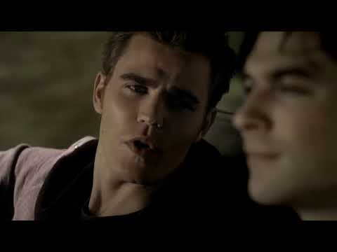 Damon Finds Out Stefan's Been Drinking Elena's Blood - The Vampire Diaries 2x08 Scene