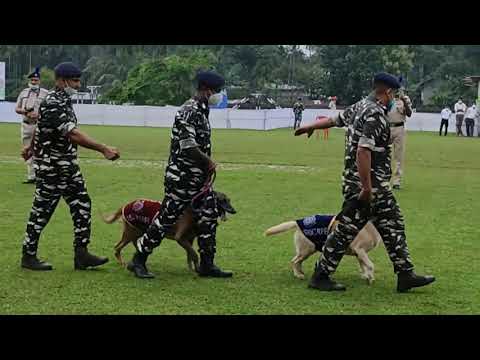 #Dog Parade #Blindly_Assembling_Of_Gun_In_Dark_Place #15_August #Independence_Day