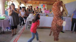 Quione's 1st Birthday