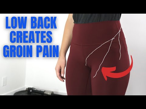 Can Low Back Pain Cause Groin Pain? Yes, Here's How - UPDATED 2023