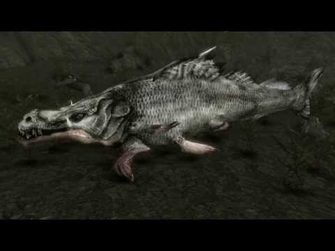 Skyrim Beware Slaughterfish