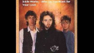 Icicle Works - Who Do You Want for Your Love