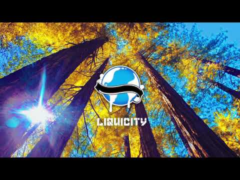 Invermere & Veela - Come Fly Away