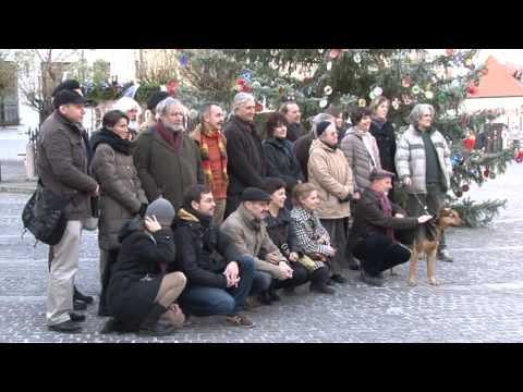 Szentendre Ma / TV Szentendre / 2013.12.04