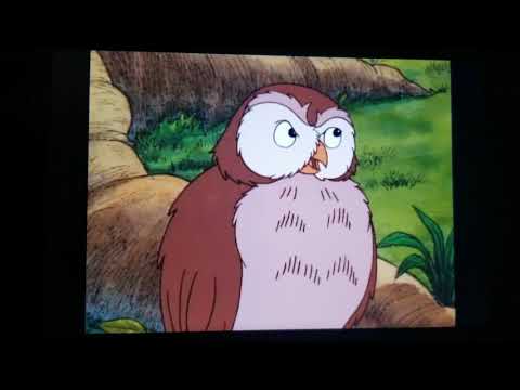 Owl - Lucy's Okay