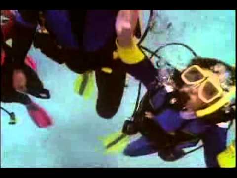 Take a Closer Look at Scuba Diving   NAUI Part 1
