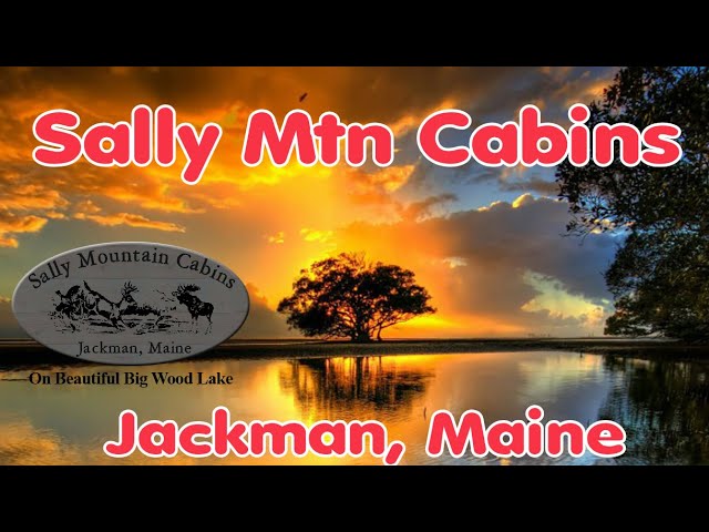 Live webcam view of Big Wood Lake from Sally Mountain Cabins