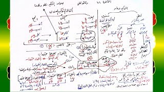 صورة 101 √ التوكيد بكلا وكلتا