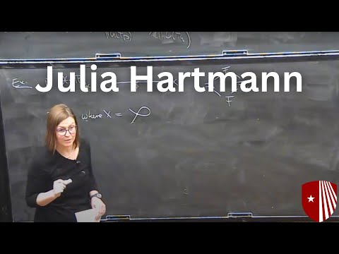 Local-global principles for homogeneous spaces over arithmetic function fields - Julia Hartmann