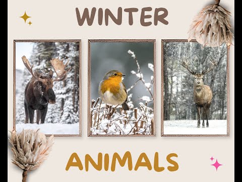 Instant Winter Decor Printable Download