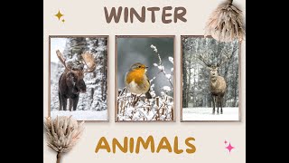 Winter Animals Printable Set for home decor, Animals Prints for Winter Decoration