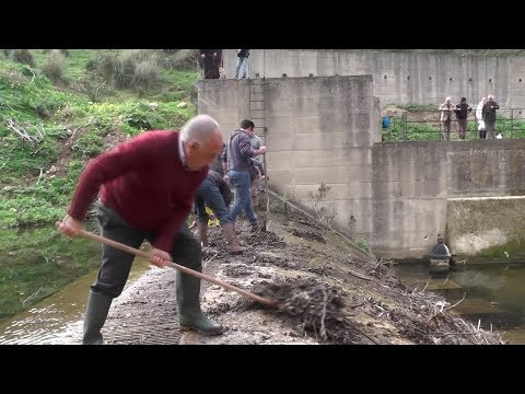 Diga Nocella torna pulita. Intervento dei volontari