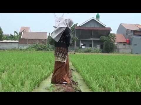 download lagu mp3 mp4 Download Video Klip Lagu Sunda Gratis, download mp3 Download Video Klip Lagu Sunda Gratis free downloadn, video klip Download Video Klip Lagu Sunda Gratis