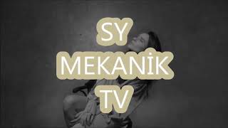 Şimal - Ucuz Roman | Sözleri ile (Lyrics Video)