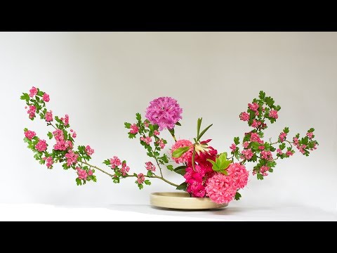 download lagu mp3 mp4 Colorful Flower Arrangements, download lagu Colorful Flower Arrangements gratis, unduh video klip Colorful Flower Arrangements