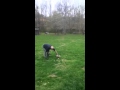 Taming A Possum