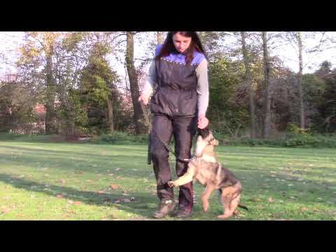 Worlo von der Teufelskehle