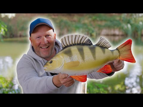 Barsche das ganze Jahr verstehen und fangen | Angelguide packt aus