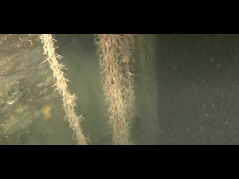 Viaggio nel vulcano sommerso di Torre del Greco