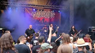 Aardvarks - Live Summernight Open Air 2018 21.07.2018