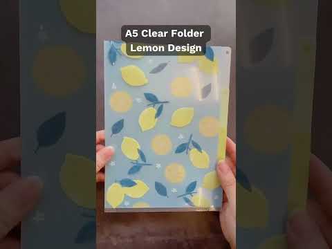 MIDORI A5 3-Pockets Clear Folder #midori #organizer #folders