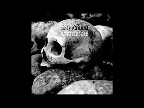 Strydwolf – "Wotan tritt hervor"