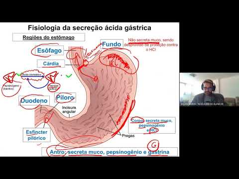 FARMACOLOGIA DIGESTÓRIA - Tratamento das síndromes ácido-pépticas
