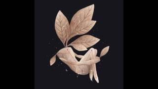 Constelación VI - "Una Flor" - Lisandro Aristimuño