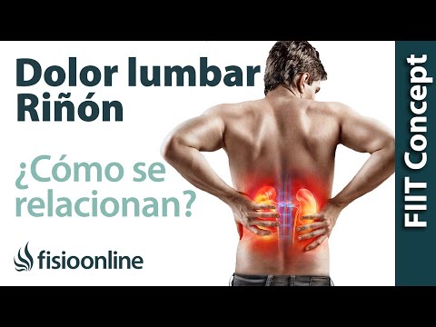 Alteración Del Riñón. ¿En Que Zona De La Espalda Repercute?