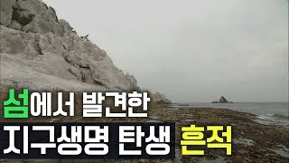 preview picture of video '섬에서 발견한 지구생명탄생의 흔적들[살아있는 자연사박물관 섬 01]'