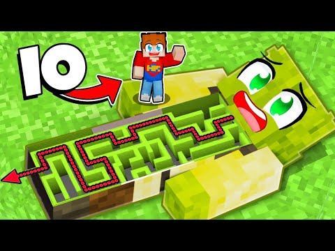 HO TROVATO UN LABIRINTO SEGRETO DENTRO IL MIO AMICO su MINECRAFT!