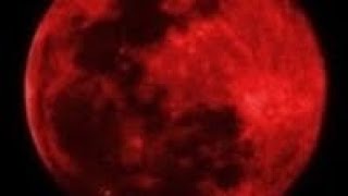 🩸Minecraft 1.21.8 - Survival - EP3: Update