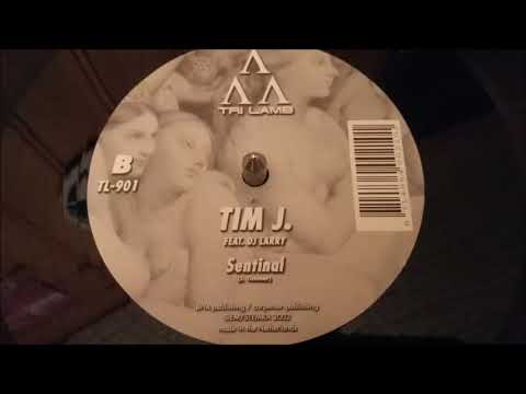 Tim J Feat. DJ Larry ‎– Sentinal