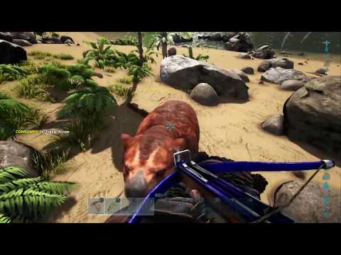 ARK PS4: How to solo tame a Thylacoleo Esp 1-Hunting the THYLACOLEO!