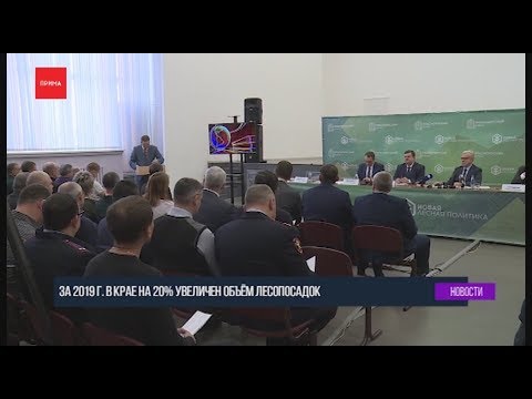 Новая лесная политика реализуется в Красноярском крае