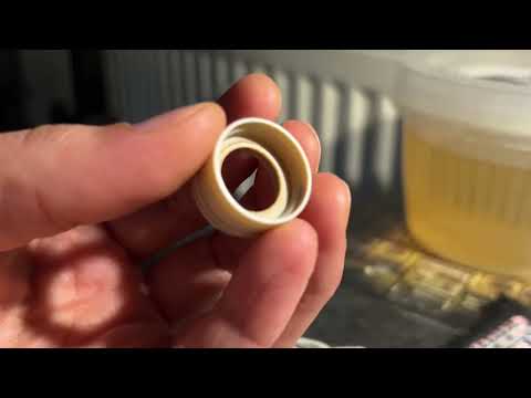 fieber(glas)traum mit dem Angus Enhanced?? Ich hab selbst nachgeschaut! 🧐