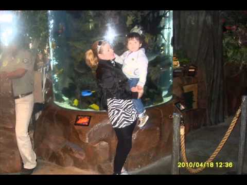 Dinka, Daleku vo tugina.wmv