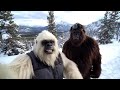25 Minutes Of Bigfoot And Yeti Camping In The Wild